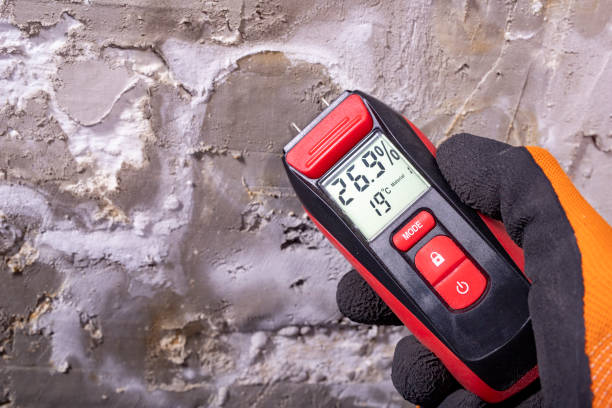 Best Attic Mold Remediation in Luling, TX