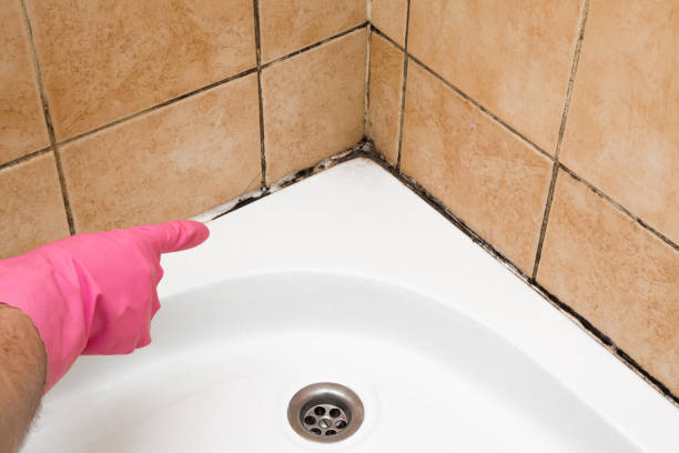 Best Insurance-Related Mold Remediation in Luling, TX